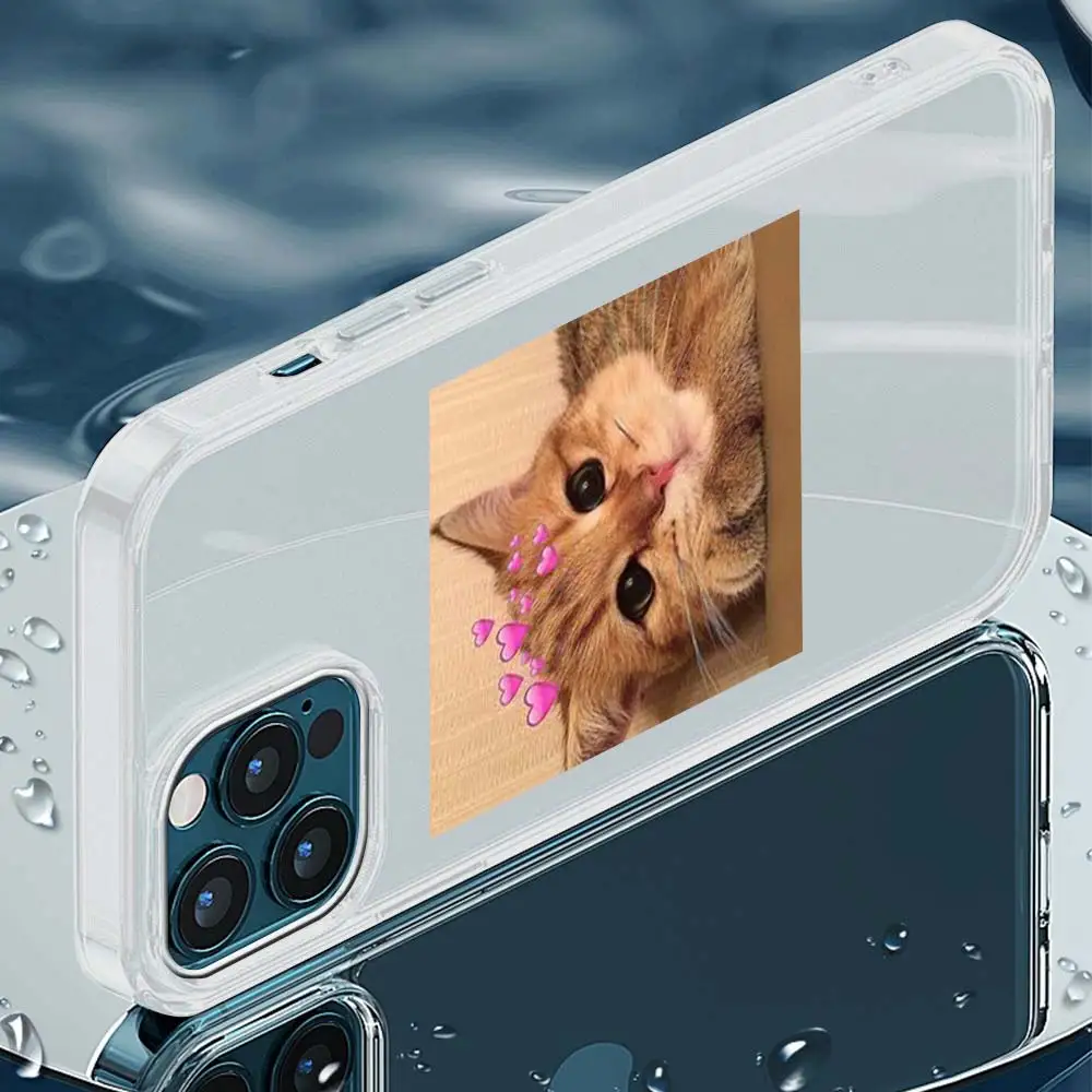 

Phone Case For iPhone 11 Pro Shell For iphone 12 Pro Max 7 8 Plus SE 2020 X XR XS Soft Matte Cover Cute Cat Fashion