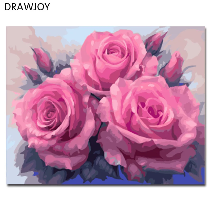 

DRAWJOY Flower Framed Picture DIY Painting By Numbers Hand Painted Oil On Canvas Wall Painting Home Decoration GX7903 40*50cm