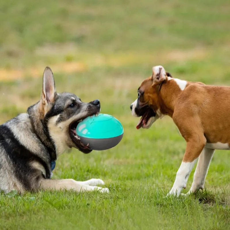 Товары для домашних животных собаки интерактивные вокальные игрушки утечка