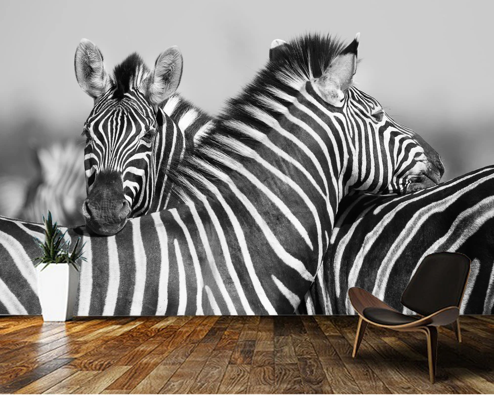 3d обои на заказ черно белая фотография Зебра Фреска для гостиной дивана