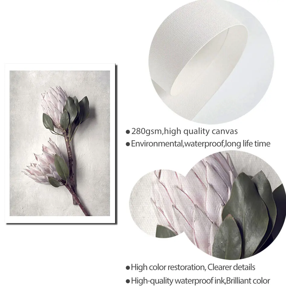 Protea скандинавские цветы плакат фотография холст Картина Настенная