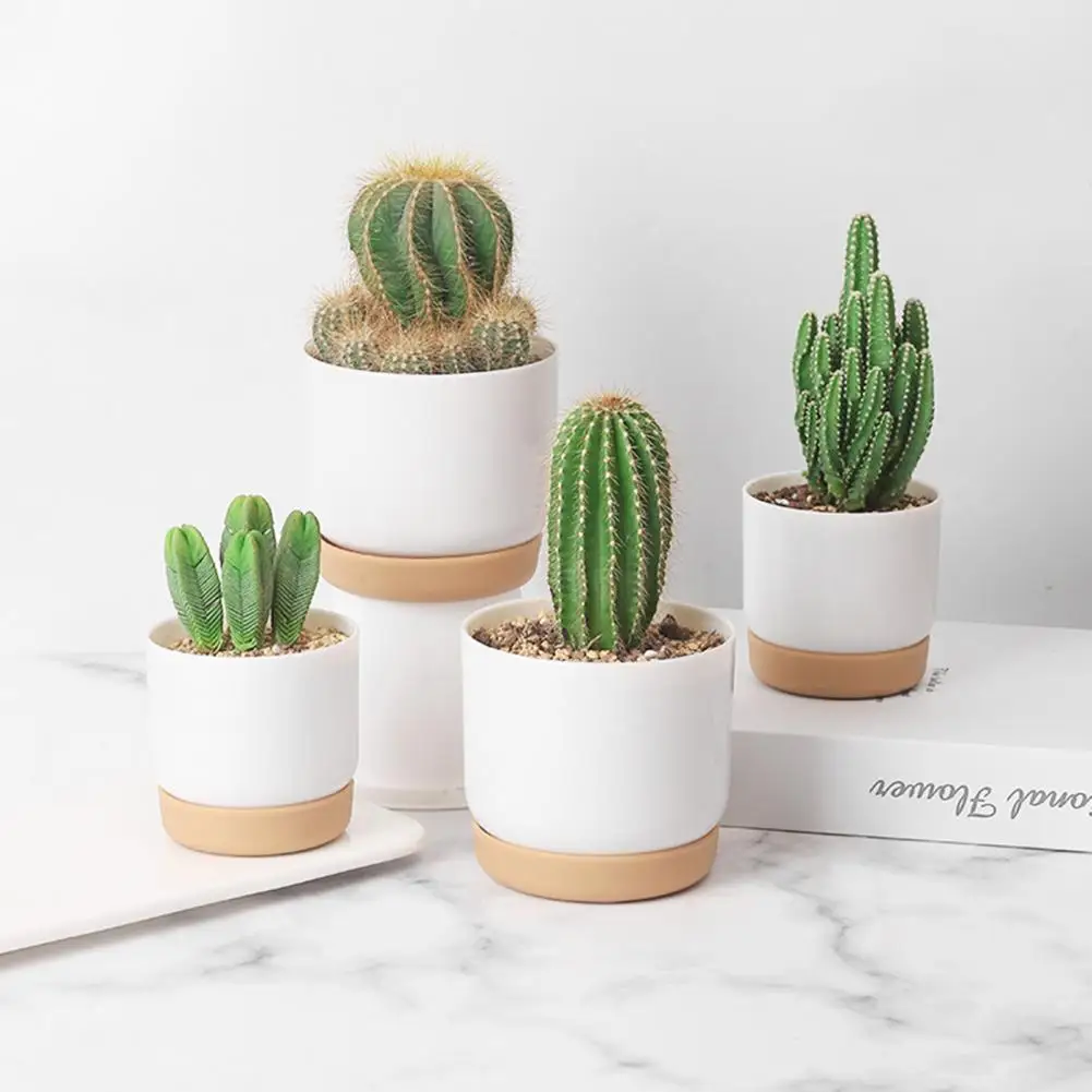 

Desktop Decoration Succulent Plant Pot 2-layer Succulent Dill Automatic Water-absorbing Plant Flowerpot Water Storage Flowerpot
