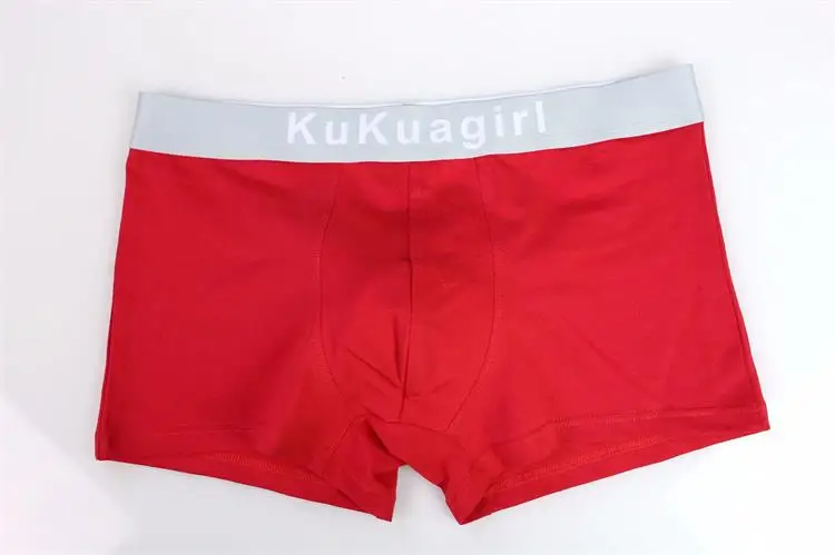 

4Pcs Top Quality Design Boxers Men Soft Underwear Men Boxer Panties Comfortable Cotton Sexy Men Underwear Boxer Shorts