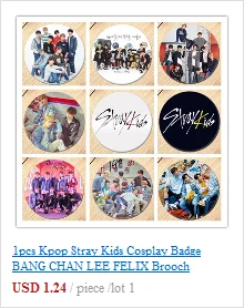 1 шт. Kpop защищает детей значок косплея взрыва Чан ли Феликсом Брошь булавка коллекция Значки для рюкзаков украшения 18759