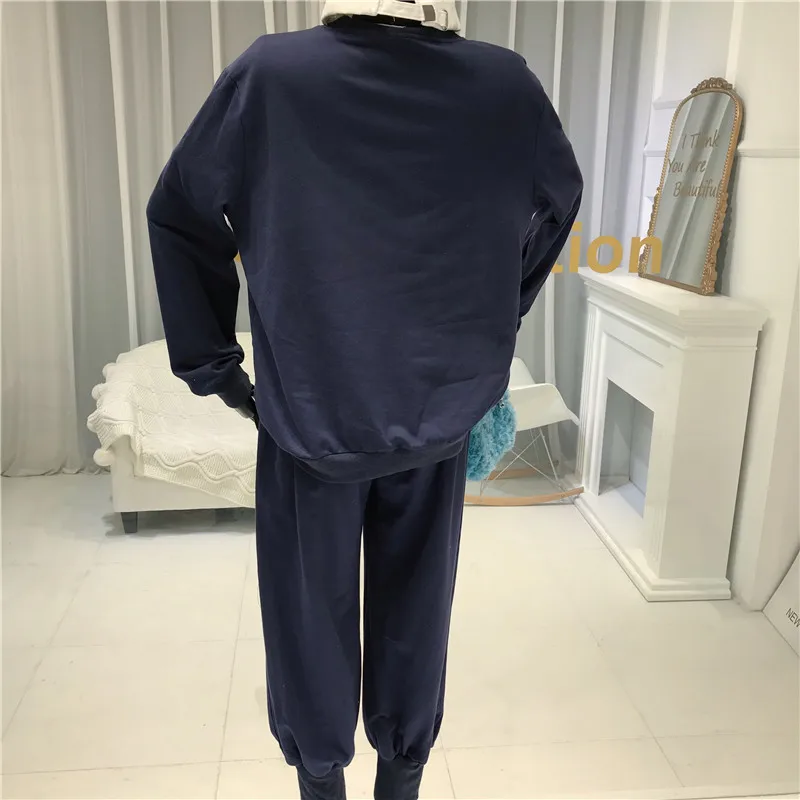

2020 New Spring Long Sleeved Cardigan Sweatshirt + Casual Pants Two Piece Set Women TrackSuit Lady Home Clothes Loose Pants Suit