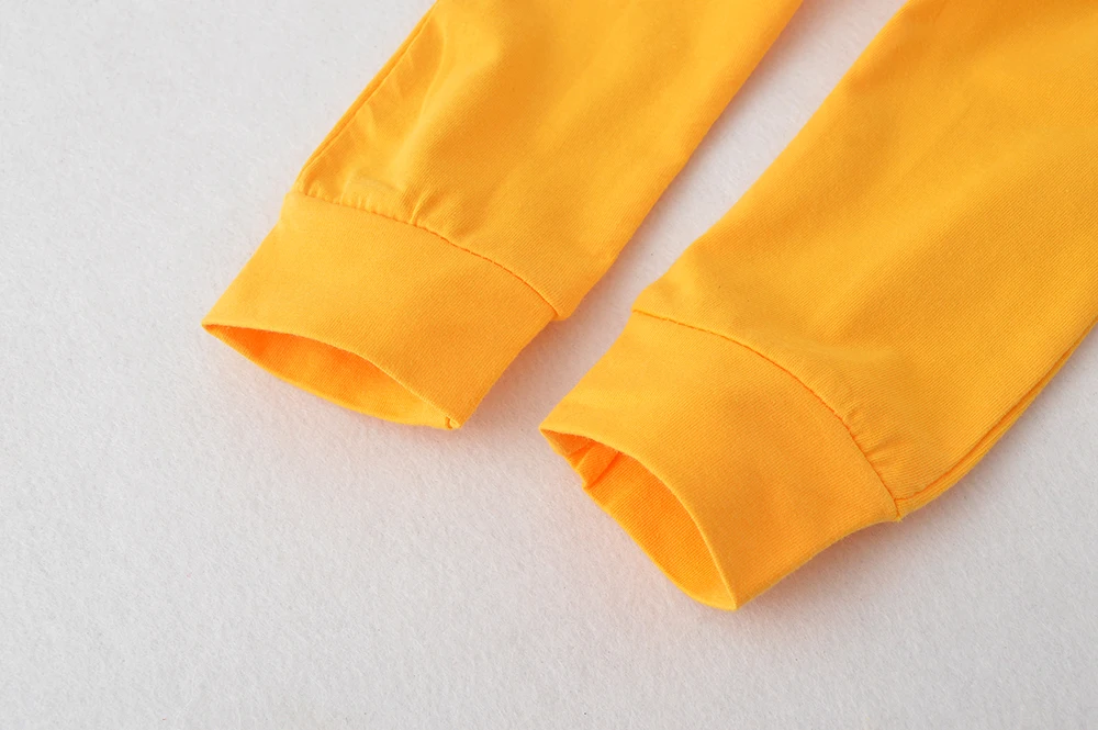 2019 Осенняя стильная одежда для маленьких девочек пуловер с капюшоном и длинными