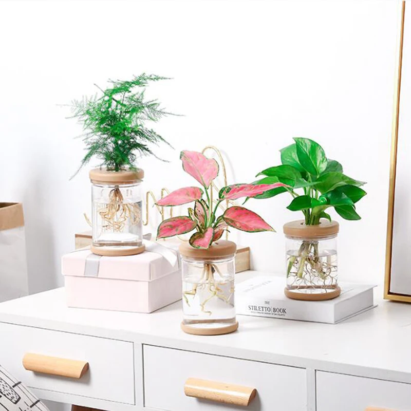 

Lazy Transparent Flowerpot Hydroponic Automatic Water Absorption Flowerpot