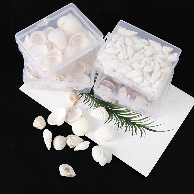 

1* Box Natural Conch Shells Mini Corn Screw DIY Aquarium Landscape Seashells Decoration