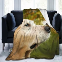 fashion animal dog 3d printing printed blanket bedspread blanket retro bedding square picnic wool soft blanket