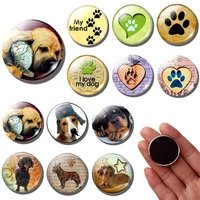 dog paw 30 mm fridge magnet cute pet puppy dog animal glass dome refrigerator magnets stickers decor message board home decor