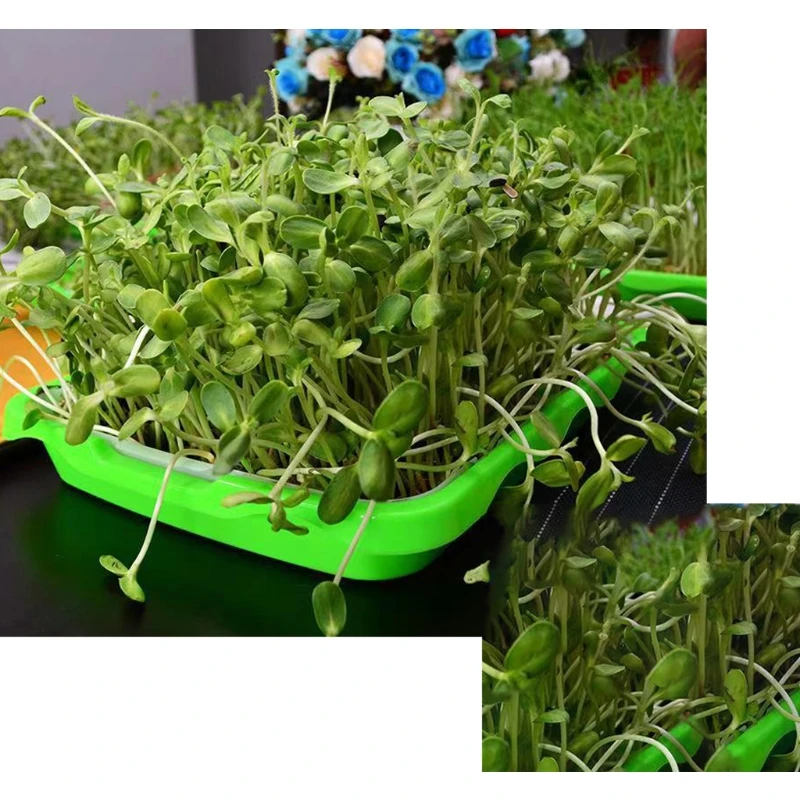 2-х слойный поднос для выращивания семян садовый инструмент прорастания | Дом и