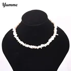 Ожерелье-чокер женское, с натуральными ракушками