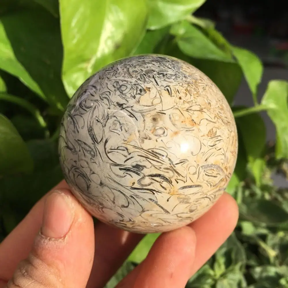 Динозавр кости окаменелости мяч натуральный окаменелый Камень Сфера гладкая