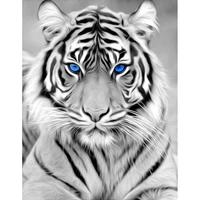 5d diy full round diamond painting black and white tiger with blue eyes cross stitch diamond embroidery mosaic home decoration