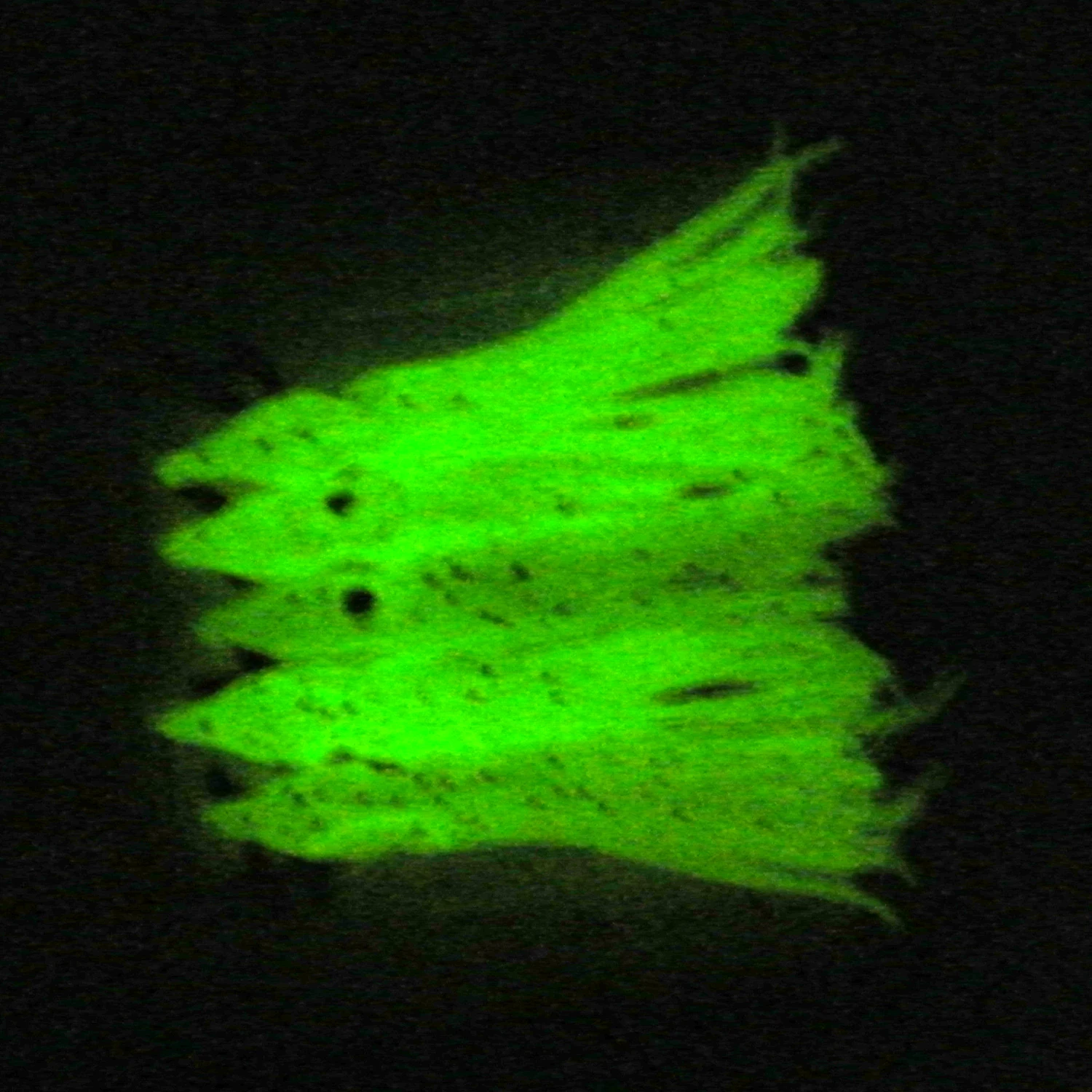 20 шт. (4 упаковки) рыболовные снасти пресноводная соленая вода светящийся Кальмар