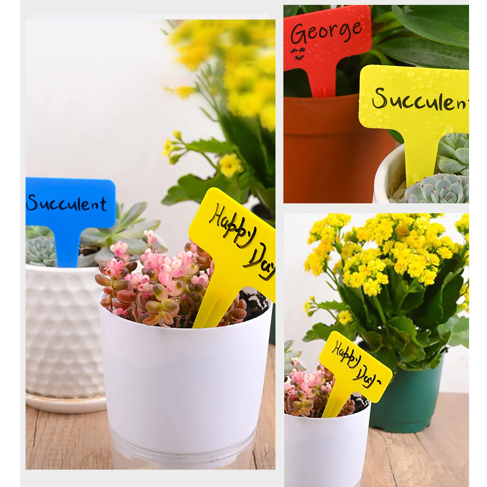 

Waterproof Colorful Plant Garden Bonsai Succulent Seedings Tags Sign Platic Gardening Labels Stake On Soil Paint Sticks FFT