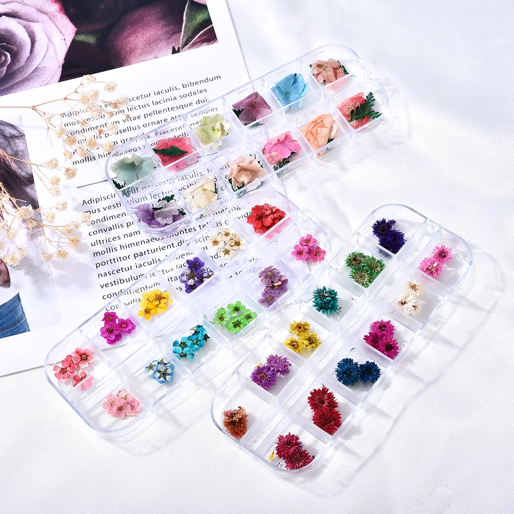 

12 Colors Nail Accesoires 3D Nail Art Designs Real Natural Dry Dried Gypsophila Flower for UV Gel Nail Art DIY Tips Decoration