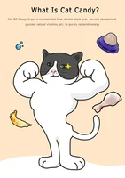 Самые востребованные товары для вашего дома и его жителей#4