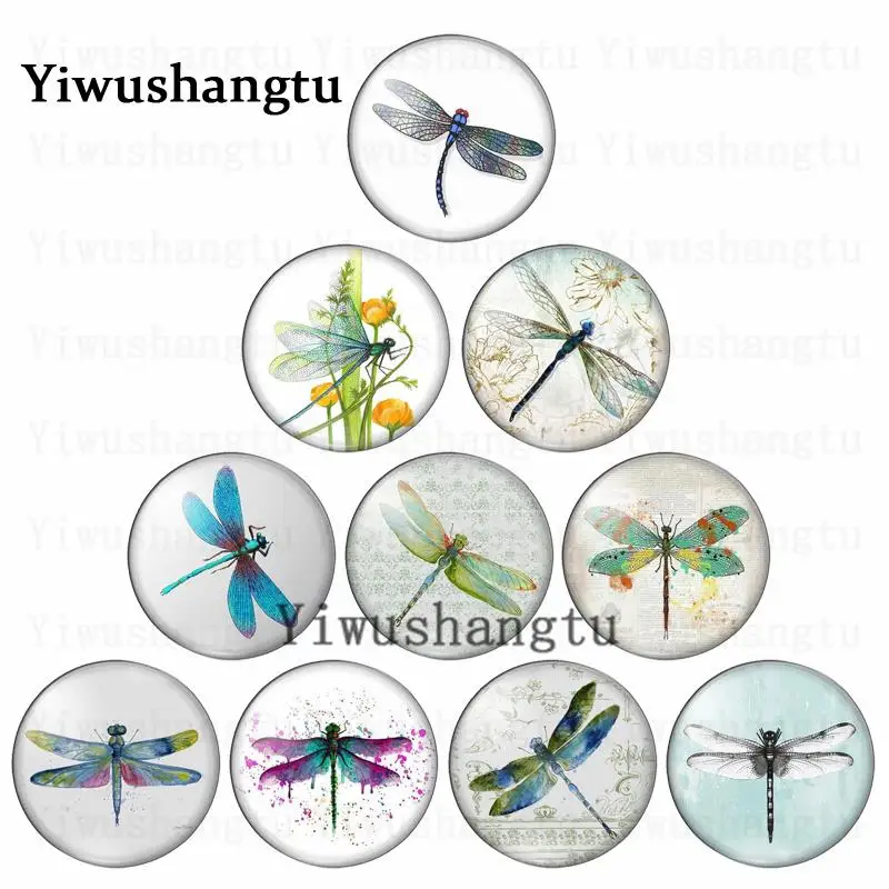 

Winged insect beauty dragonfly lovely 12mm/20mm/25mm/30mm Round photo glass cabochon demo flat back Making findings