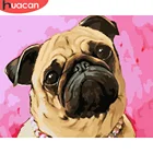 HUACAN картина по номеру собака рисунок на холсте подарок DIY фотографии по номерам наборы животных ручная роспись Картины Искусство домашний декор
