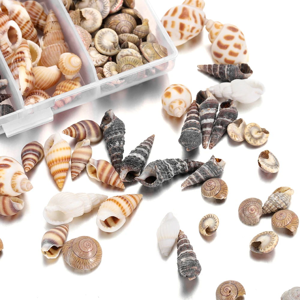 100 шт./коркор. микс натуральных морских ракушек мини-ракушка материал для винтов