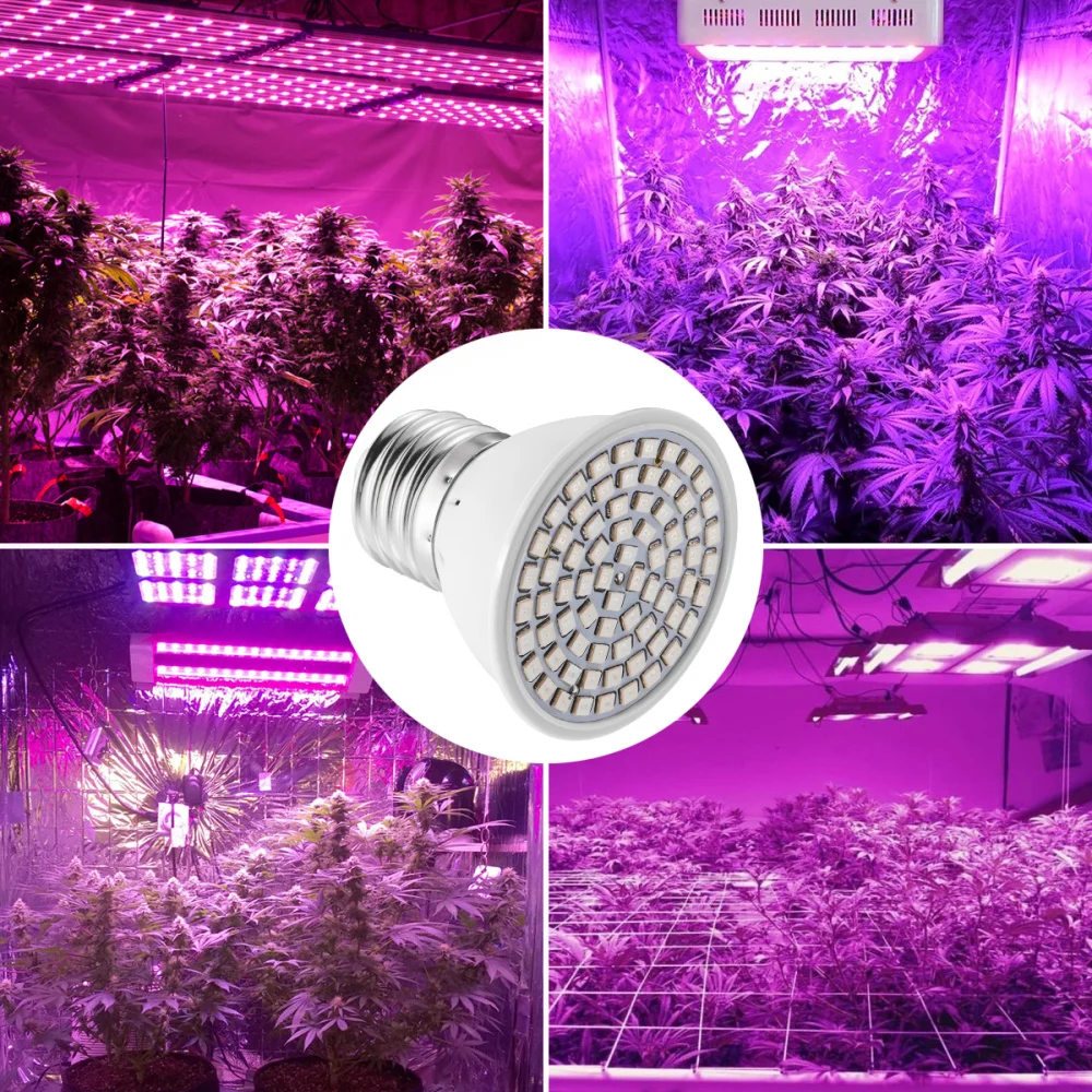 

LEDMOMO E27 6W 72 LEDs Yard Garden Grow Light Bulb Red Blue Plant Light Growing Lamp for Indoor Plants Hydroponic Garden Greenho