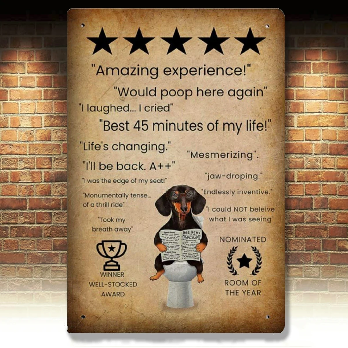 

Retro Vintage Metal Sign Vintage Dachshund Amazing Experience Room of The Year Well Stocked Award Reproduction Metal Tin Sign