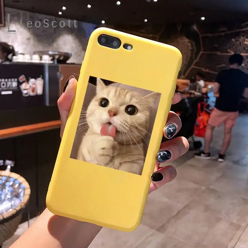 

Cute Cat Phone Case Yellow Candy Color for iPhone 6 7 8 11 12 s mini pro X XS XR MAX Plus