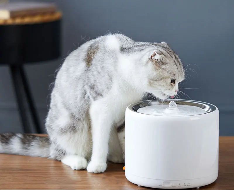 Новейший PETKIT электрический питомец кошка питьевая вода для собак диспенсер Фонтан автоматическая кормушка для собак квадратная поилка для щенков кошек