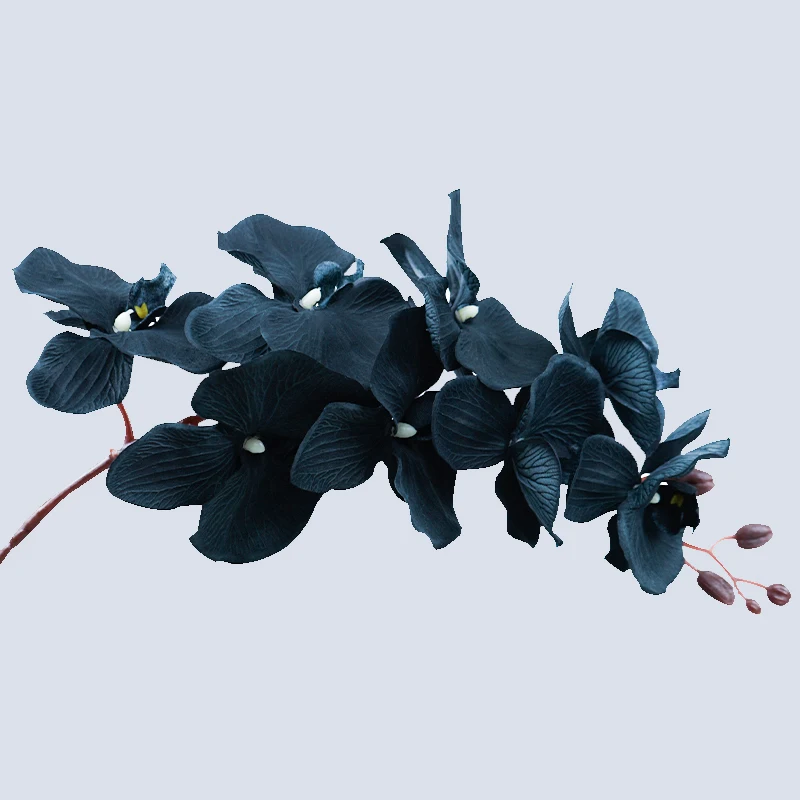 

SunMade Большая черная бабочка орхидея