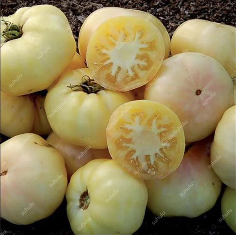 200 шт искусственных томатов |