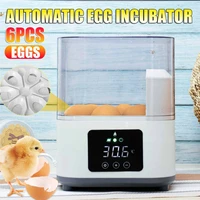 6 eggs incubator intelligent breeding professional brooder birds automatic thermostat breeding digital display hatching tool