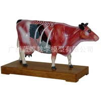 animal skeleton cow cattle bull acupuncture veterinary anatomical acupoint nursing massage model medical supplies student