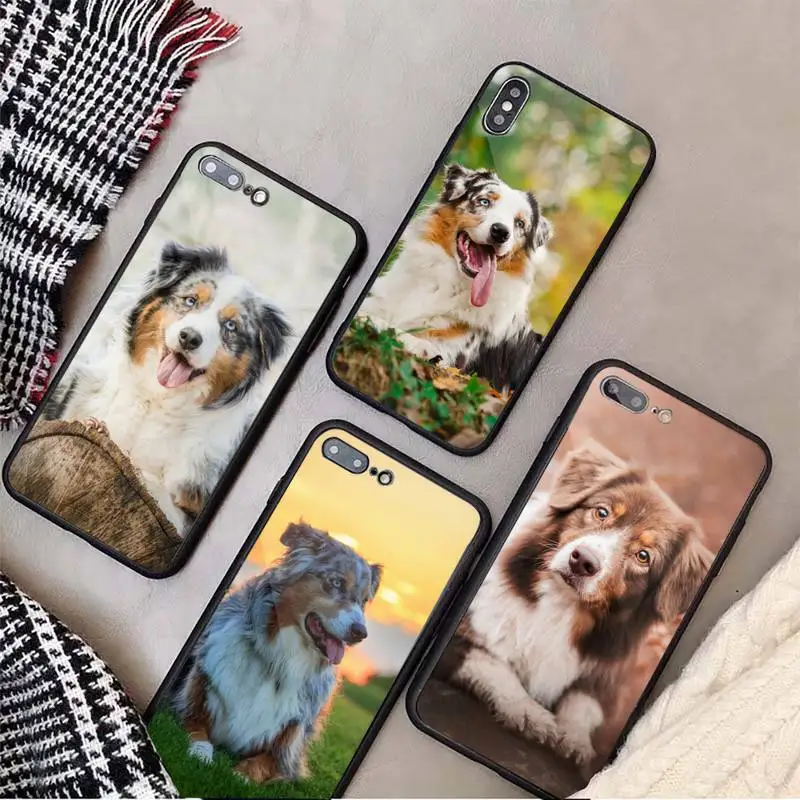 

Australian Shepherd Dog Phone Case Tempered glass For iphone 6 7 8 plus X XS XR 11 12 13 PRO MAX mini