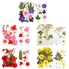 Набор цветов для изготовления мыла и свечей, 12 шт., прессованный высушенный