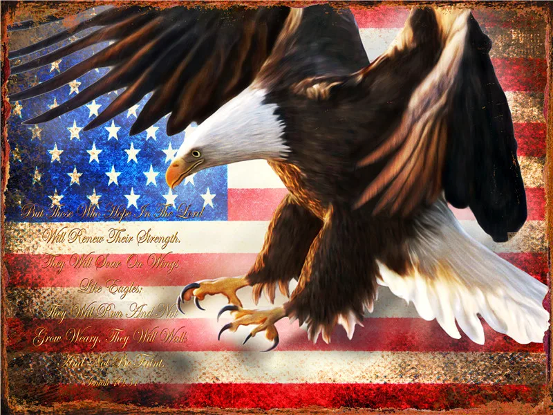 

American Flag Gamer Eagle Plaque Vintage Decor Decorative Boards Home Decoration Modern Posters on the Wall Stickers Door Sign