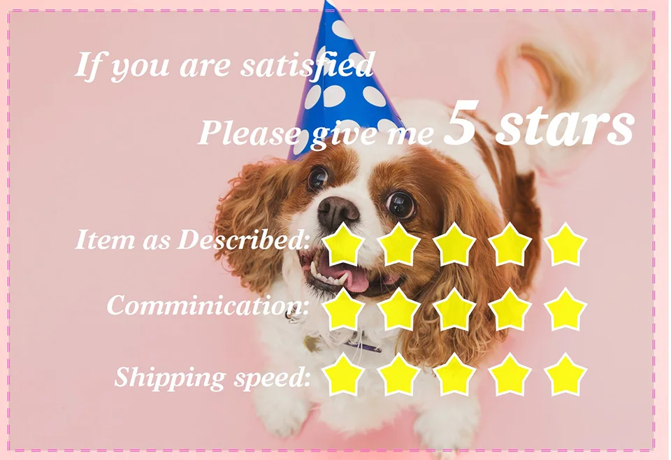 Perro vestido con camisa hawaiana en un escenario de playa