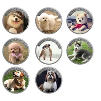 8pcsset 2018 year of the dog challenge coin 999 9 silver plated metal coins art ornament child souvenir gifts metal coin