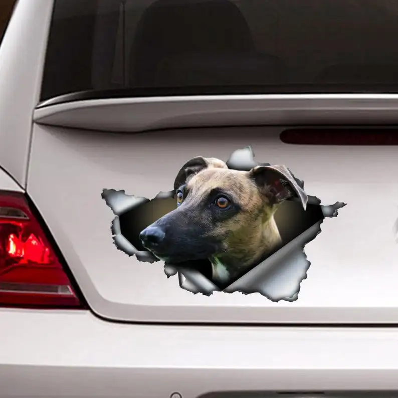 

2021 Brindle Whippet car decal, brindle whippet sticker, pet decal