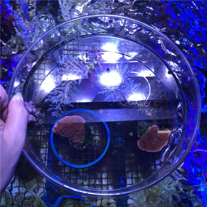 Аквариум морской коралловый риф танк SPS LPS аквариум смотровое зеркало воды