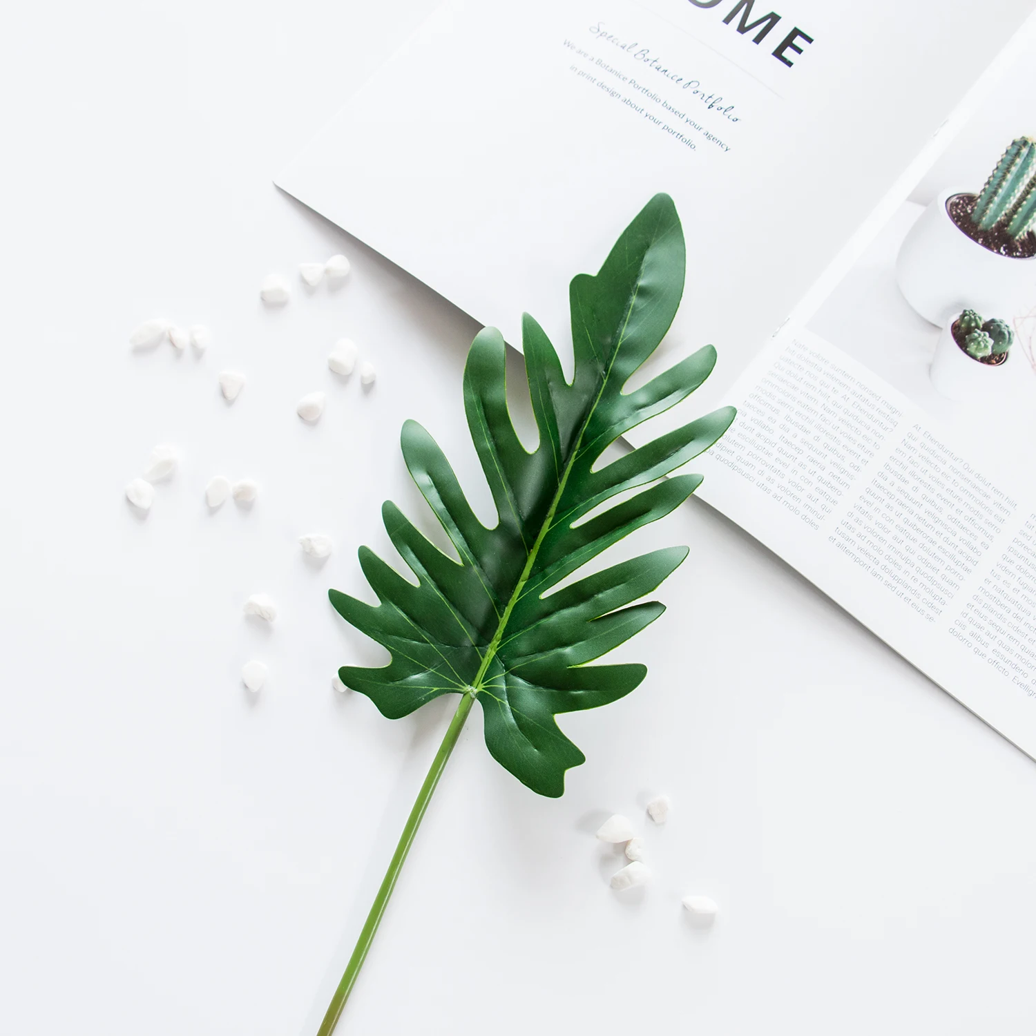 

Ins Green Tree Leaves Photo Props Turtle Leaf Eucalyptus Gourmet Cosmetics Photography Background Set Decoration Photobooth