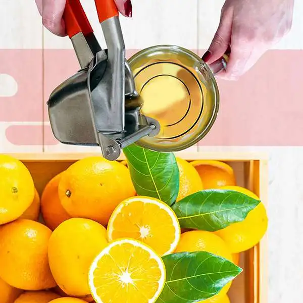 

Manual Juice Squeezer Stainless Steel Lemon Squeezer Hand Juicer Pomegranate Orange Sugar Cane Juice Kitchen Fruit Tools