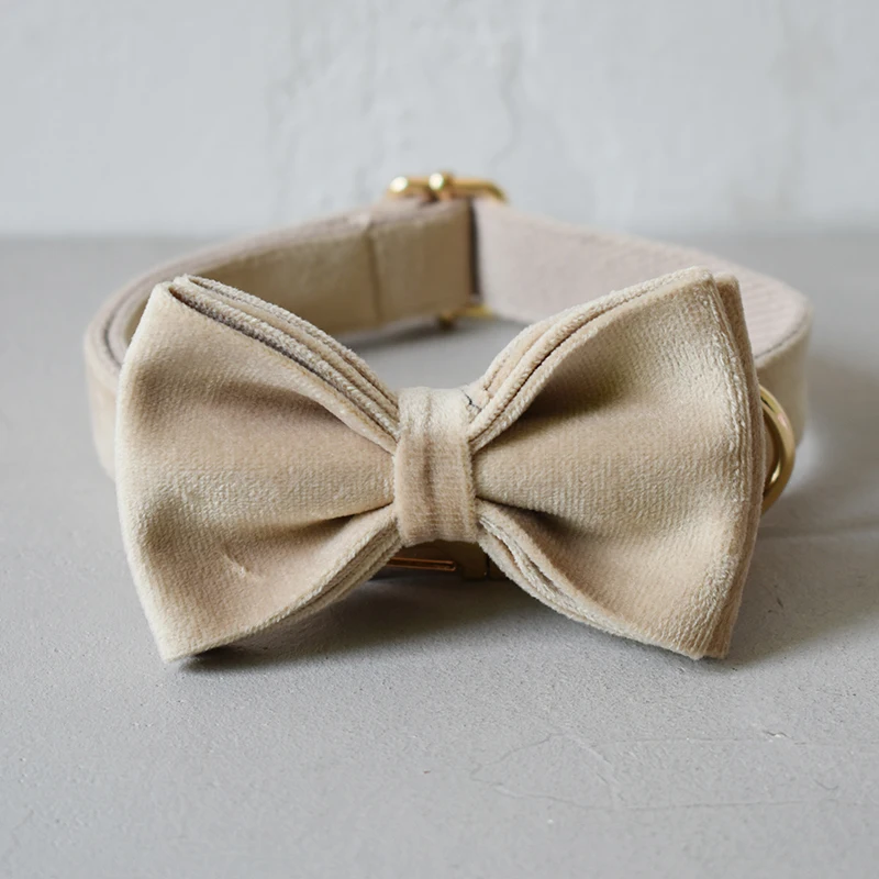 Тканевый поводок для ошейника собаки с бесплатной гравировкой ожерелье среднего