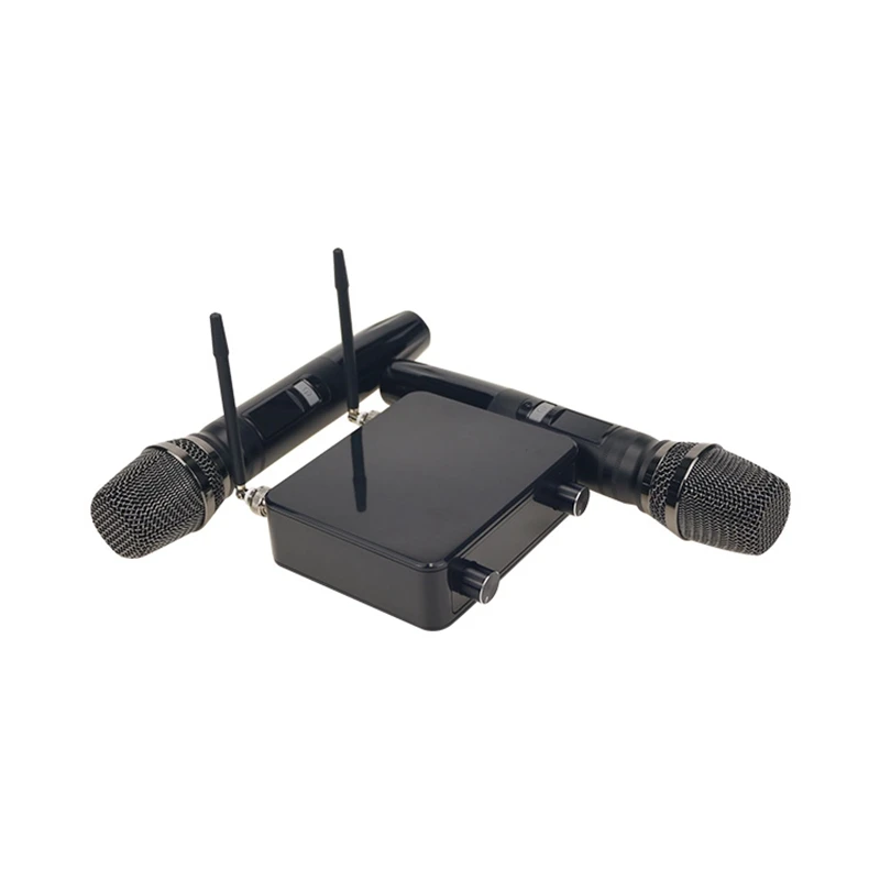 Эфвк Беспроводной микрофон Системы Профессиональный UHF 2 канала беспроводной