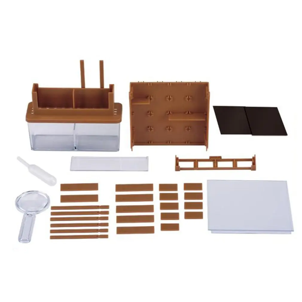 

Experiment Physics Puzzle Technology Kids Science Looking Plant Maze For Little Science Toys Education