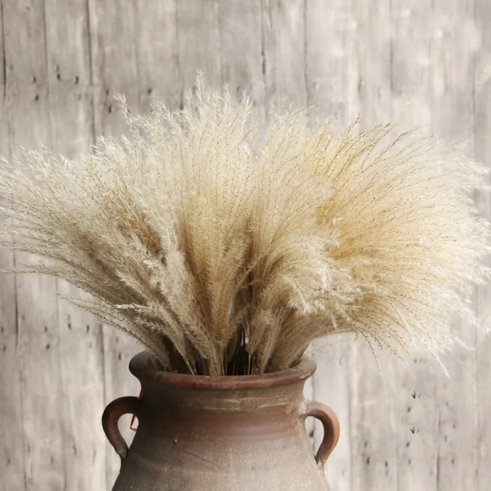 

100 pieces of natural dried reed bunch bouquet flower arrangement wedding holiday party family table decoration art decoration d