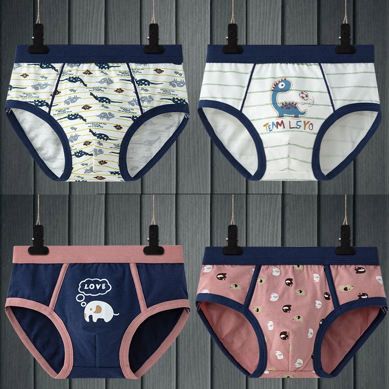 

Boys Panties Cartoon Dinosaur Brief Underwear Boy Shorts for Women Panties Teenage Underpanties for 4 6 8 10 12 14 Years Clothes