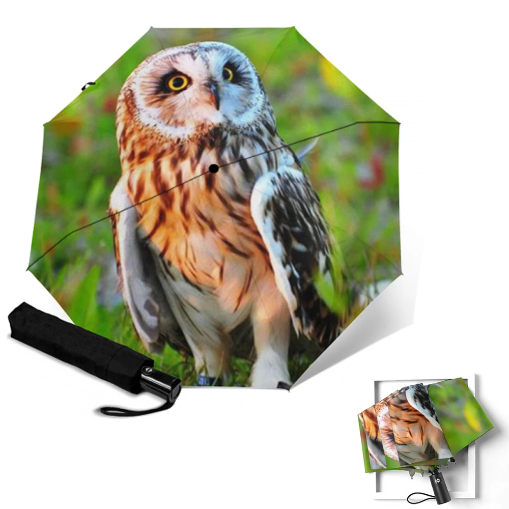 Женский складной автоматический зонтик в виде совы женский пляжный зонт от дождя