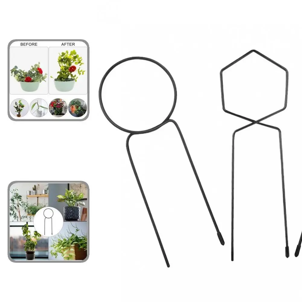 

Portable 3Pcs/Set Reliable Eye-Catching Plant Climbing Holder Wrought Iron Plant Support Rustproof for Home