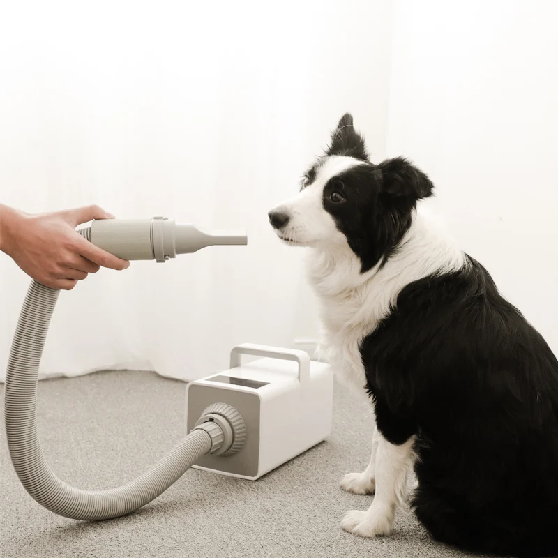 

Dryer Blower Variable Speed Portable Dog Cat Pet Blow Hair Low Noise Hairdryer Pet Hair Dry2200W/220-240V